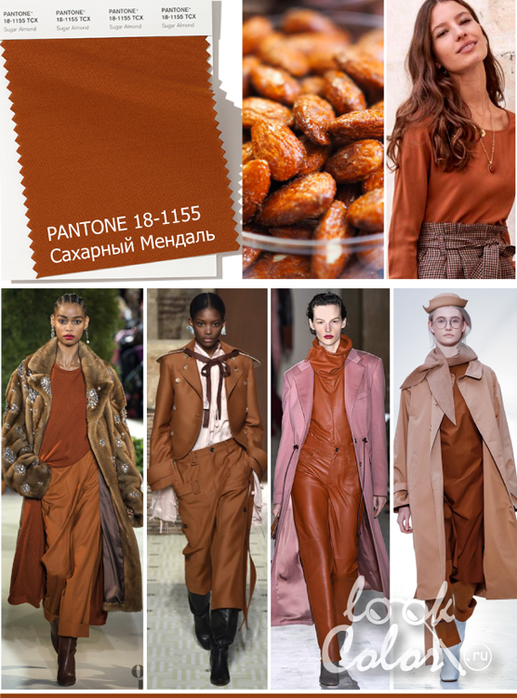 Модный коричнево-оранжевый PANTONE 18-1155 Сахарный Миндаль Sugar Almond